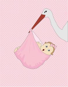 Cigüeña lleva un bebe con el pico en una manta rosa.