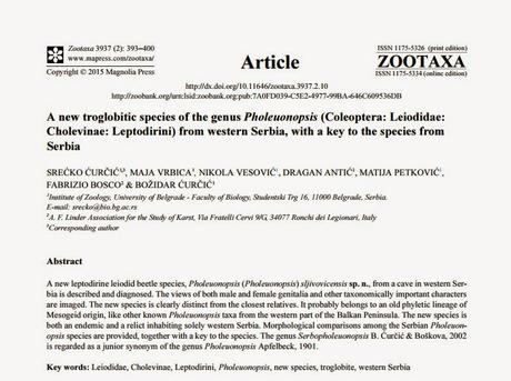 Nuevas especies descubiertas en cuevas de Serbia e Italia Nuevas especies descubiertas en cuevas de Serbia e Italia