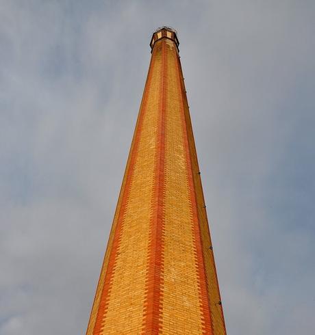 Tomelloso. Una vida dedicada al cultivo de la vid. La Chimenea. Tomelloso. Turismo Ocio e Idiomas Saber Sabor