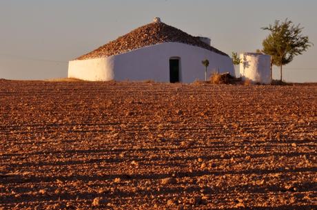 Tomelloso. Una vida dedicada al cultivo de la vid. Bombo. Autor, Santiago Benito