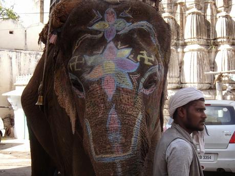 De cumpleaños en la ciudad romántica de Udaipur