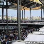 El Mercat els Encants Vells La-Fira-de-Bellcaire-02