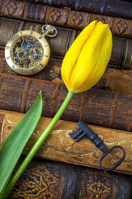 CIERRO LOS OJOS... CIERRO LOS OJOS...