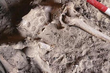 Arqueólogos de la Universidad de Jaén detectan en Egipto el caso más antiguo de cáncer de pecho