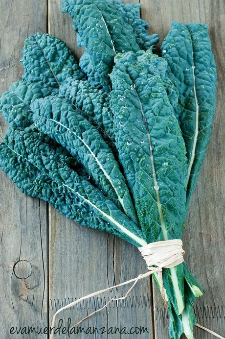 Kale Nero de Toscana, recogido de mi huerto