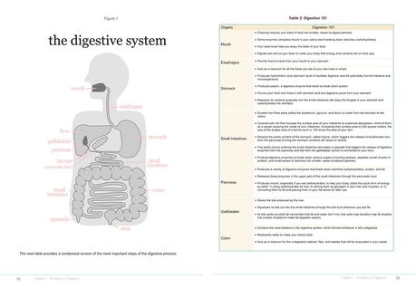 Gráfico sistema digestivo