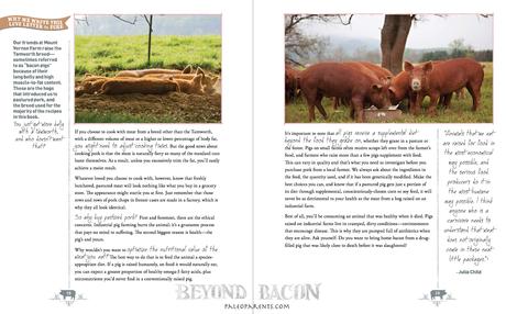 Cerdos felices en Beyond Bacon
