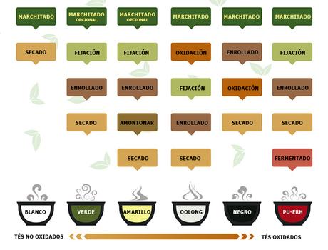 Elaboración del té Elaboración del té
