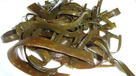 Alga Espagueti de Mar Alga Espagueti de Mar