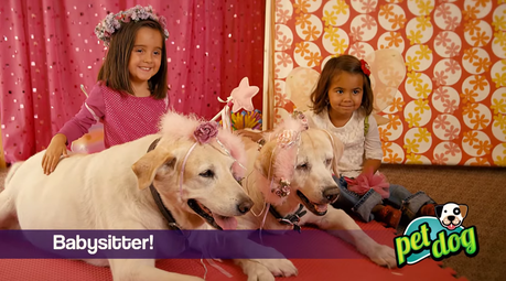 En la teletienda, ahora también venden gatos y perros Captura de pantalla 2015-03-27 a las 3.08.56