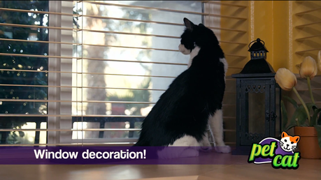 En la teletienda, ahora también venden gatos y perros Captura de pantalla 2015-03-27 a las 3.08.06