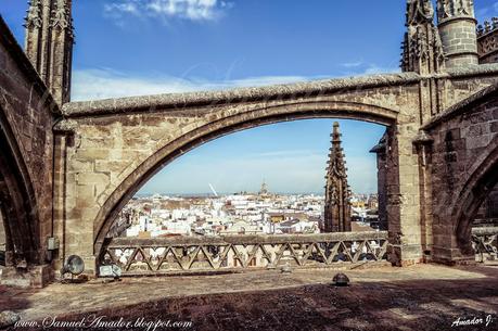 SEVILLA: CATEDRAL y CUBIERTAS de la CATEDRAL