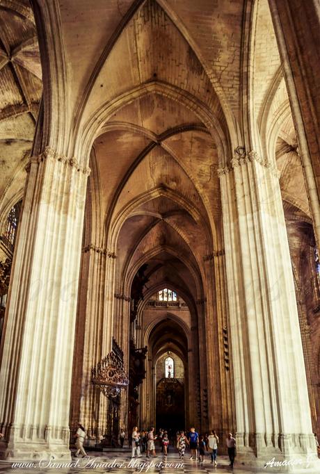 SEVILLA: CATEDRAL y CUBIERTAS de la CATEDRAL