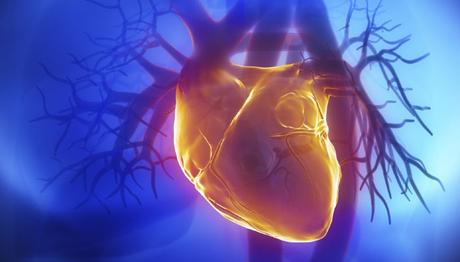 Corazón biónico Corazón biónico