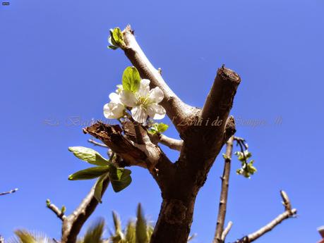 UN DÍA DE PRIMAVERA, A LA BARCELONA D' ABANS, D' AVUI I DE SEMPRE...29-03-2015...!!!