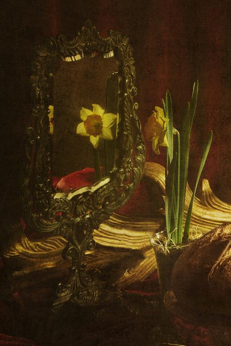 “Martis, belli et fertilitatem deum” bodegon barroco marzo-vintage by lopez linares-maria vintage photography (3)