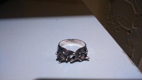 El anillo de mi bisabuelo Ferrer wpid-wp-1427706586200.jpeg