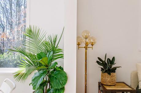 Elige tu espacio Feng Elige tu espacio Feng