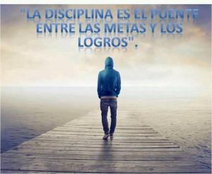 disciplina disciplina