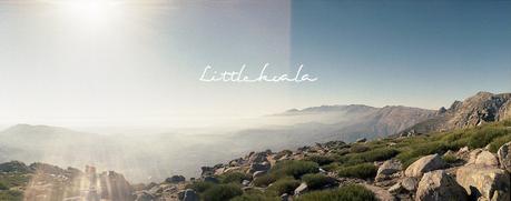 Hoy compartimos: libertad Hoy compartimos: libertad