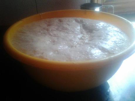 PAN ARTESANO DE TRIGO PAIS...CON FORMA TRADICIONAL PAN ARTESANO DE TRIGO PAIS...CON FORMA TRADICIONAL