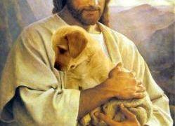 Jesús y los animales