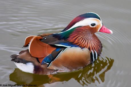 POR EL DELTA DEL EBRO Y LA COSTA DE TARRAGONA PARTE 1ª POR EL DELTA DEL EBRO Y LA COSTA DE TARRAGONA PARTE 1ª