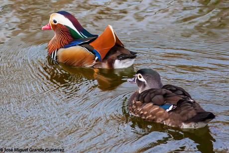 POR EL DELTA DEL EBRO Y LA COSTA DE TARRAGONA PARTE 1ª POR EL DELTA DEL EBRO Y LA COSTA DE TARRAGONA PARTE 1ª