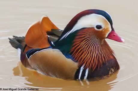 POR EL DELTA DEL EBRO Y LA COSTA DE TARRAGONA PARTE 1ª POR EL DELTA DEL EBRO Y LA COSTA DE TARRAGONA PARTE 1ª