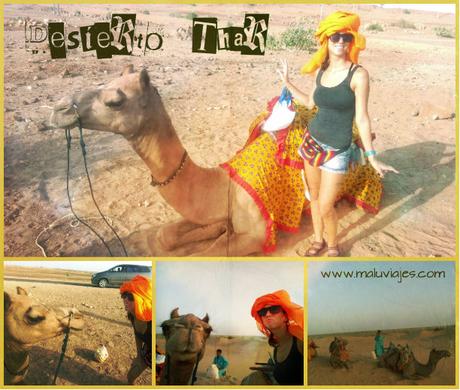 India: La ciudad Dorada de Jaisalmer Parte II maluviajes-Desierto-Thar-India-Jaisalmer