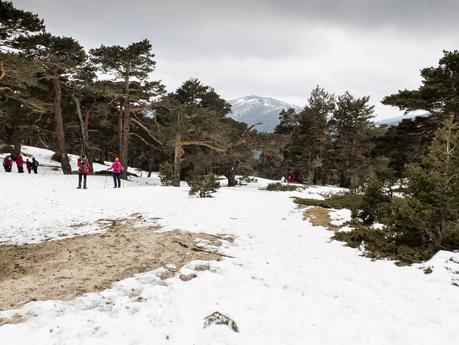 De las Dehesas a la Pradera de Majalasna