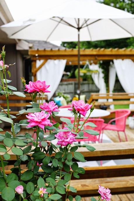 Claves para renovar un espacio exterior... ¡¡¡Y disfrutarlo más!!!!!! Claves para renovar un espacio exterior... ¡¡¡Y disfrutarlo más!!!!!!