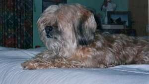 Si fuera… Si fuera…