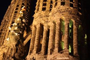 Si fuera… Si fuera…