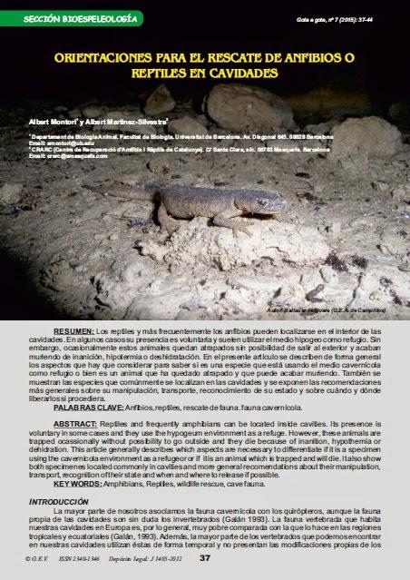 Conservación: Rescate de anfibios y reptiles en cavidades Conservación: Rescate de anfibios y reptiles en cavidades