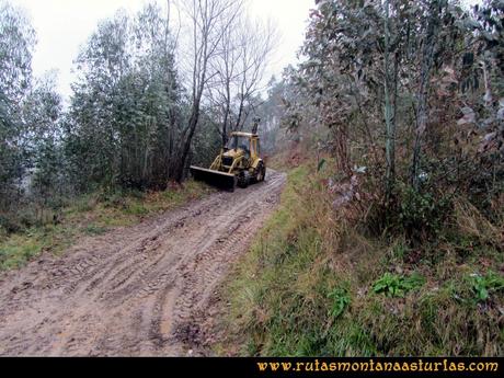 Ruta al techo de Castrillón, Prado Marqués: Pista a Pulide Ruta al techo de Castrillón, Prado Marqués: Pista a Pulide