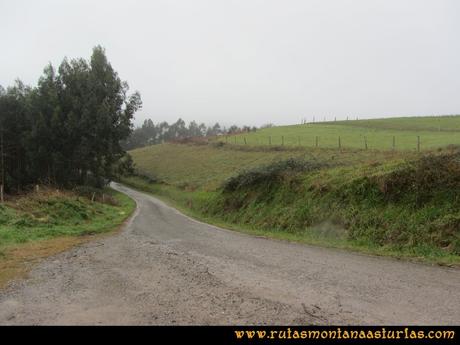 Ruta al techo de Castrillón, Prado Marqués: Cruce con la carretera de Las Vinadas
