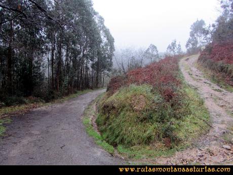 Ruta al techo de Castrillón, Prado Marqués: Cruce de pista y carretera Ruta al techo de Castrillón, Prado Marqués: Cruce de pista y carretera