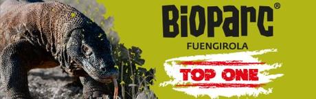 Mi agenda semana, Málaga bioparc-top-one-portada