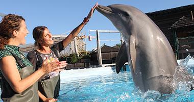 Mi agenda semana, Málaga foto-encuentro-con-delfines
