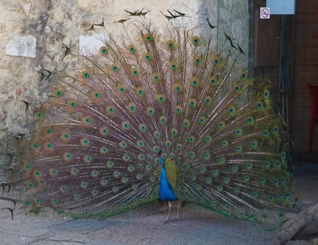 Recuerdos de un viaje DSC01548