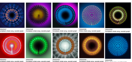 Arte, Tecnología, Naturaleza: tres sorprendentes proyectos multimedia Arte, Tecnología, Naturaleza: tres sorprendentes proyectos multimedia