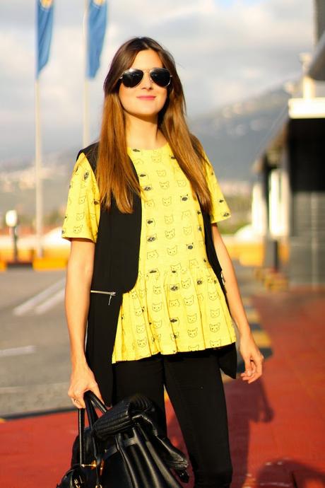 Kitties everywhere Kitties everywhere