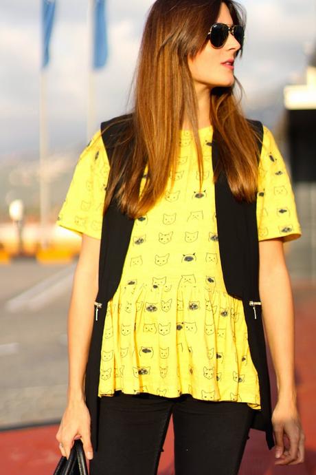 Kitties everywhere Kitties everywhere