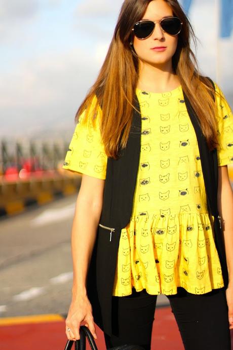 Kitties everywhere Kitties everywhere