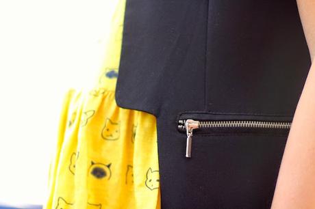 Kitties everywhere Kitties everywhere