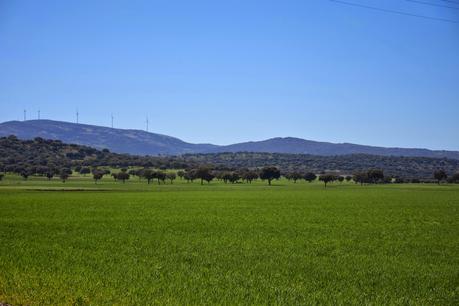 fringed crop top oversize flared pants black and white seventies fringed crop top oversize flared pants black and white seventies