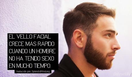 Datos curiosos sobre la barba.