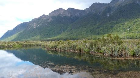 El espíritu de Fiordland y Milford Sound El Lago espejo