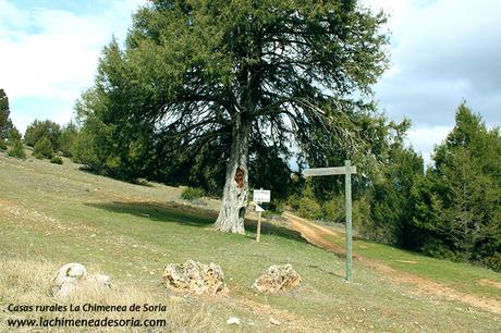 Mirador de la Lastrilla y la Hoz de Orillares cartel mirador de la lastrilla cañon rio lobos